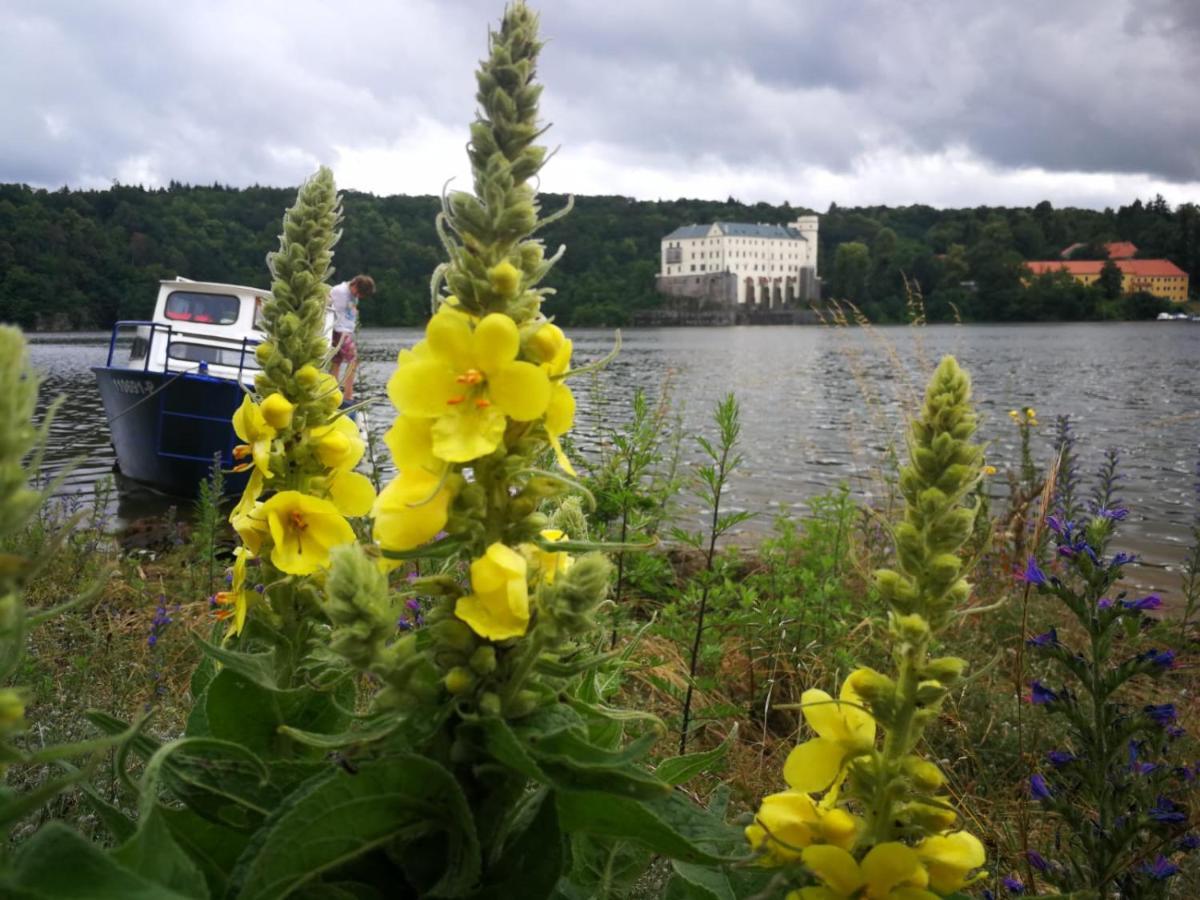 Podkrovi V Jihoceskem Statku Nemejice Exteriör bild